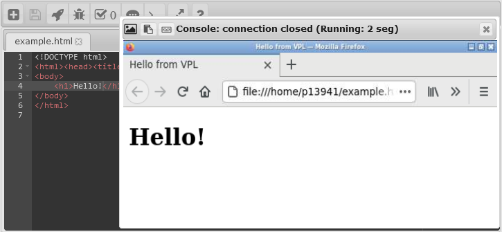 _images/html_run.png