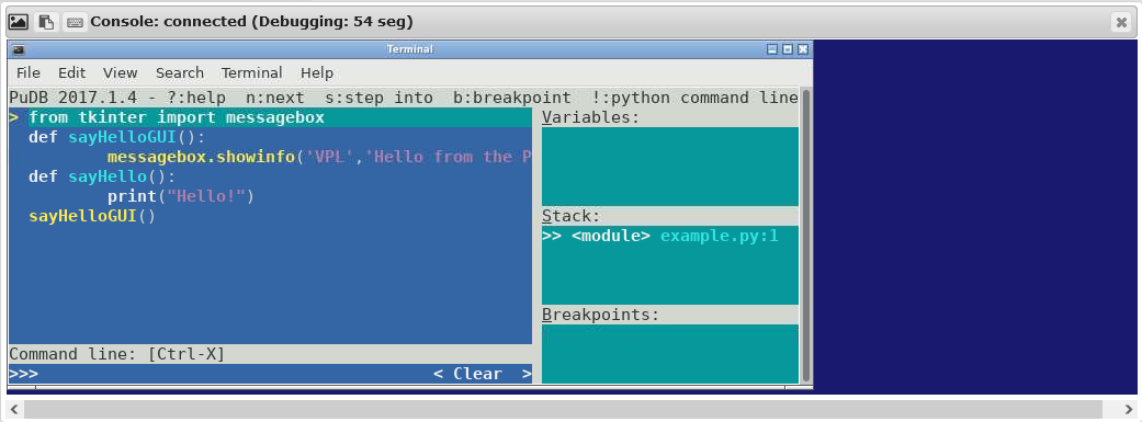 _images/python_debug.png